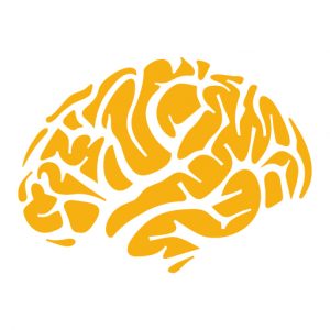 Avatar del usuario
